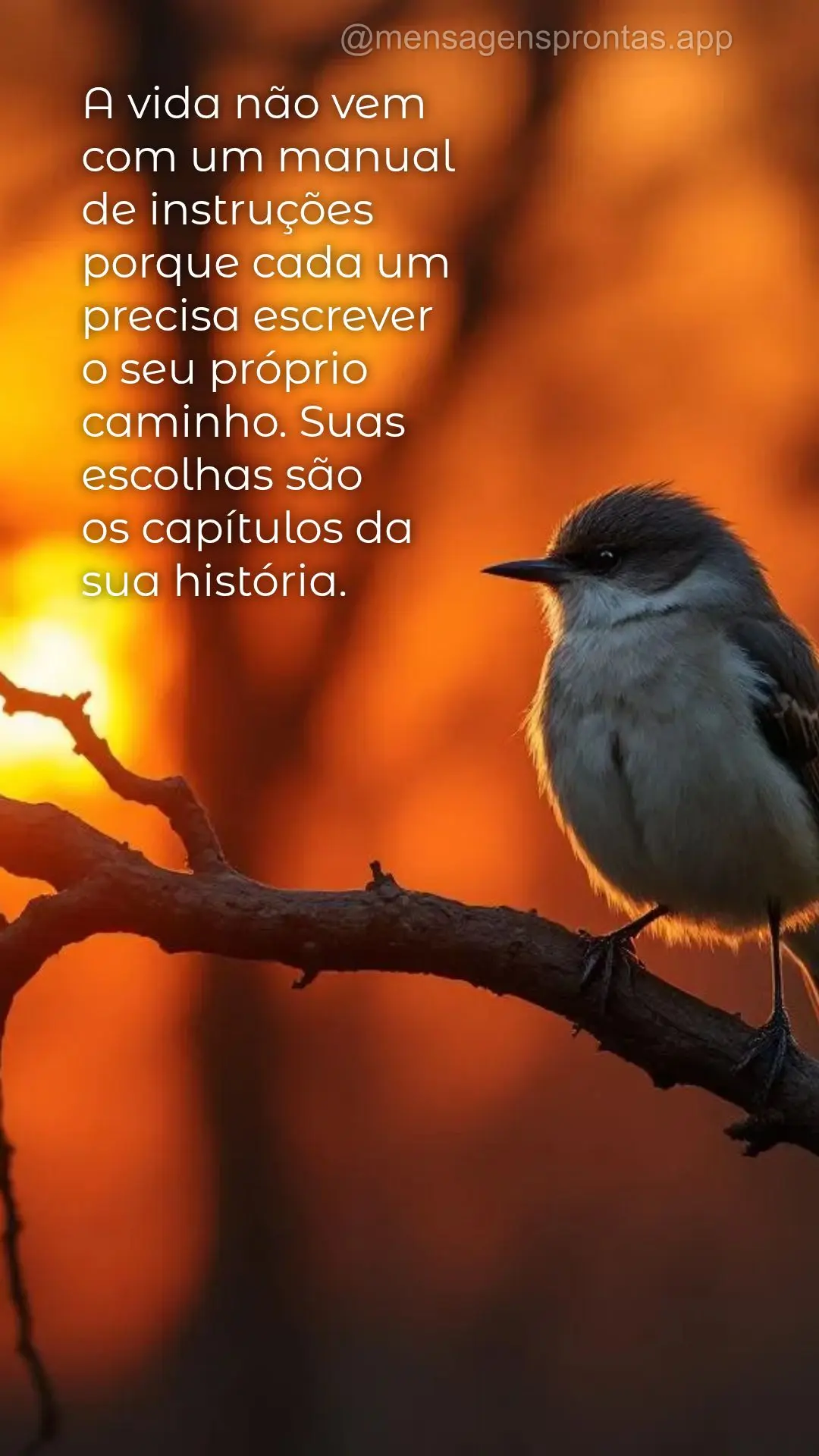 A vida não vem com um manual 
de instruções porque cada um precisa escrever 
o seu próprio caminho. Suas escolhas são 
os capítulos da 
sua his...
